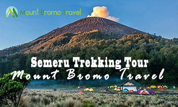 Mount Semeru Trekking Tour